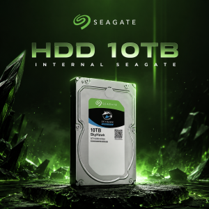HDD 10TB INTERNAL SEAGATE